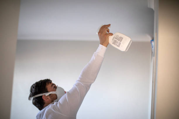Best Industrial Mold Remediation in South Monroe, MI