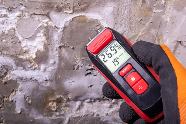 Reliable South Monroe, MI Mold Remediation Solutions