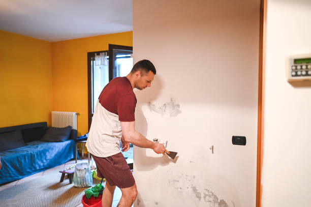 Best Crawl Space Mold Remediation in South Monroe, MI